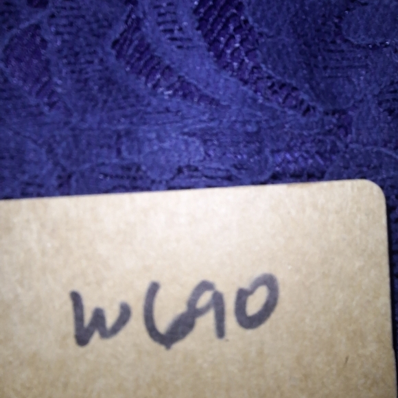 Pink Owl Elegant Blue Lace Dress With A Cutout Back In A Size Small. EUC. - Picture 9 of 10